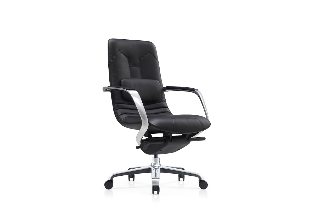 DOLPHIN BLACK Senator Chair